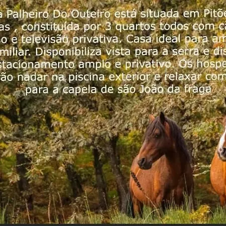 Fraga De Pitoes Pitoes das Junias